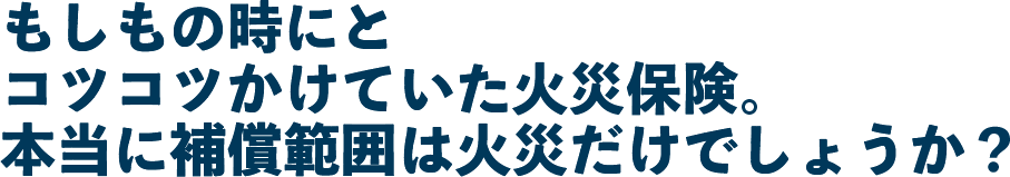 もしもの時にとコツコツかけていた
