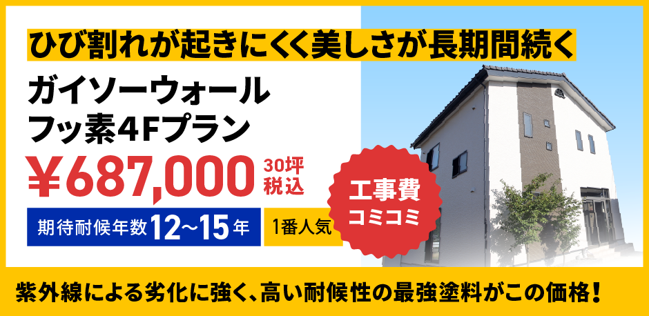 ガイソーウォールプランフッ素4Fプラン